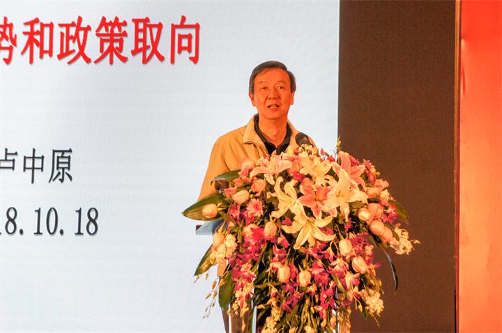 03全国政协委员、国务院发展研究中心副主任卢中原.jpg